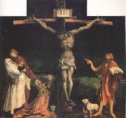 Matthias  Grunewald The Crucifixion (nn03) oil painting artist